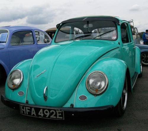 teal-beetle